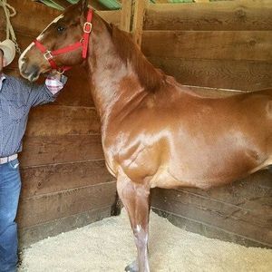 Meet your Posher, Victor